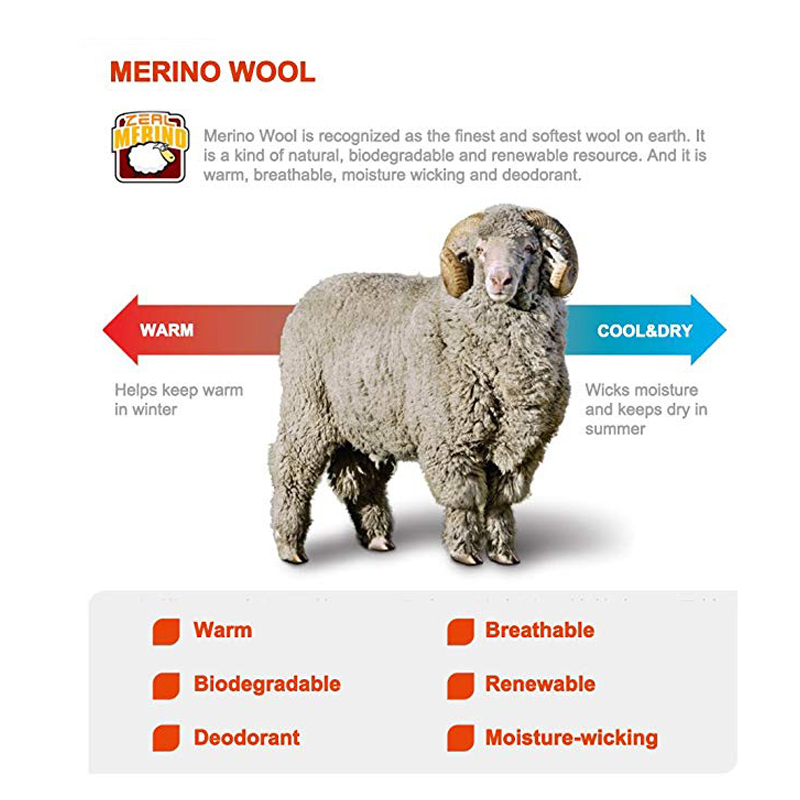 ZEALWOOD Hiking Trekking Men's – Wool Hiking Sock recenzja i cena