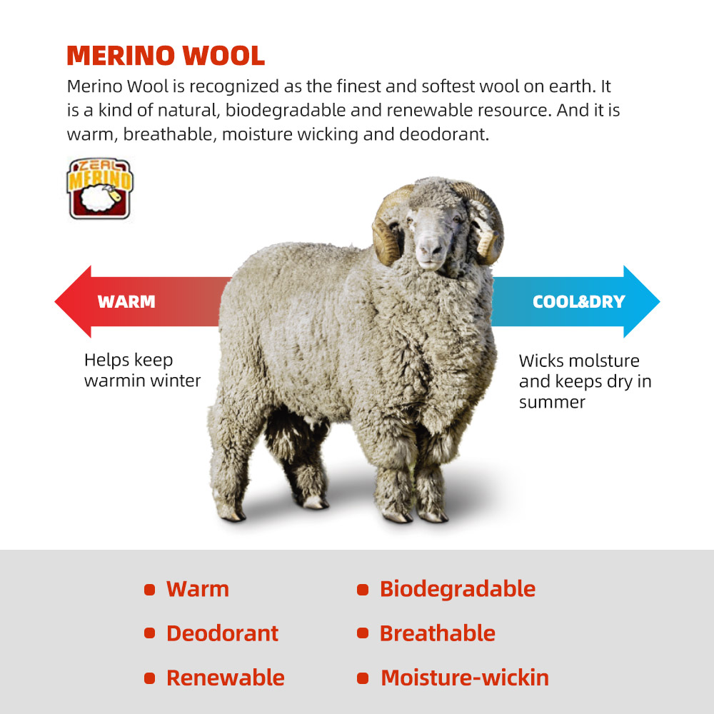 ZEALWOOD Merino Wool Running S – Wool Hiking Sock recenzja i cena