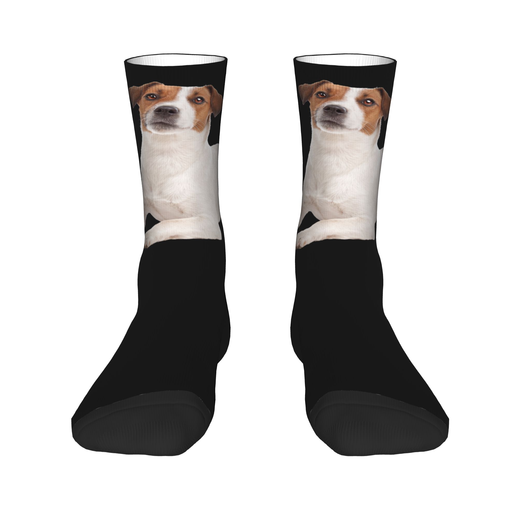 Custom Jack Russell Terrier Do – Dress Sock Men recenzja i cena