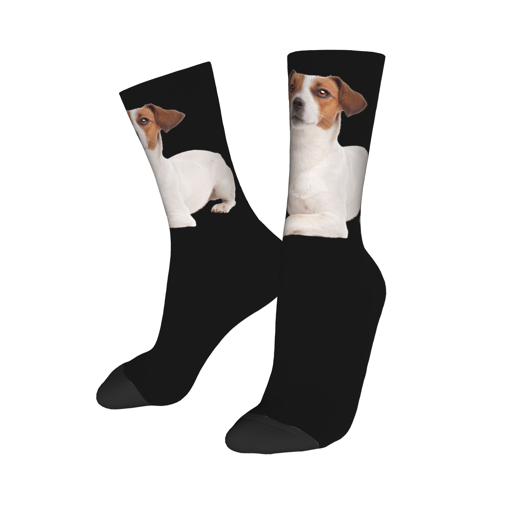 Custom Jack Russell Terrier Do – Dress Sock Men recenzja i cena